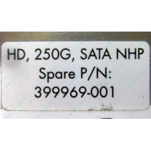 HP 250G 7.2k 432337-001/ 399699-001 / 397377-004 SATA HDD (Химки)