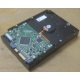 Жесткий диск HP 250Gb 7200 rpm 432337-001/ 399699-001 / 397377-004 (Химки)