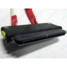 SATA-кабель для корзины HDD HP 451782-001 459190-001 для HP ML310 G5 (Химки)