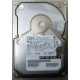 Жесткий диск 18.2Gb IBM Ultrastar DDYS-T18350 Ultra3 SCSI (Химки)