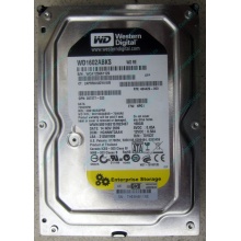 Жесткий диск 160Gb WD WD1602ABKS SATA (Химки)