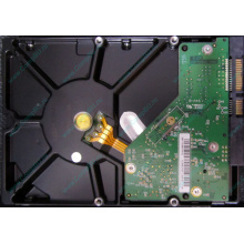 Б/У жёсткий диск 1Tb Western Digital WD10EVVS Green (WD AV-GP 1000 GB) 5400 rpm SATA (Химки)