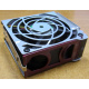 HP 224977 (224978-001) for Proliant ML370 G2/G3/G4 (Химки).