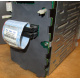 HP 365664-001 кабель SCSI для корзины 373108-001 / 359719-001 HP ML370G4 (Химки)