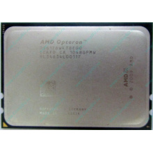 Процессор AMD Opteron 6128 (8x2.0GHz) OS6128WKT8EGO s.G34 (Химки)