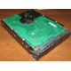 Жесткий диск 300Gb 15k Seagate Cheetach ST3300656SS 15K.6 Dell 9CH066-050 6G SAS (Химки)